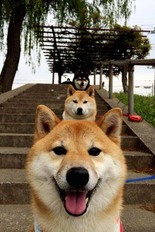 赛季最重要战役：关键时间点的剧情扭转，赛季攻略