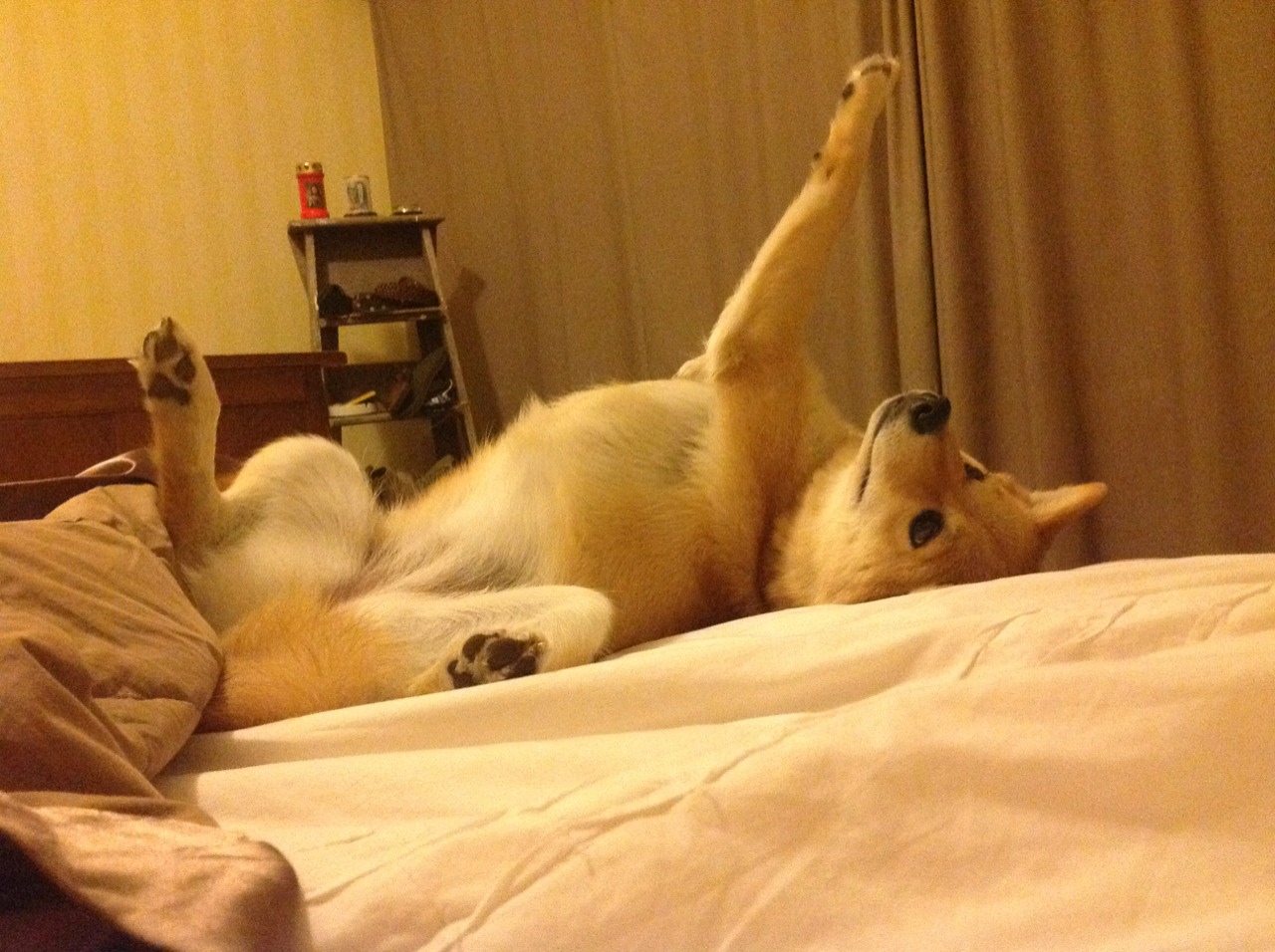 青少年体育活动组织方案完善,实施青少年体育活动促进计划培育青少年体育爱好