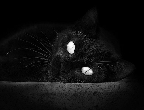 高校体育课程教学内容优化与更新研究,高校体育课程教学内容优化与更新研究论文