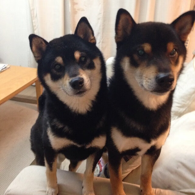 开云体育足球-“快艇冲浪：东三叉湖赛场迎来极限水上运动的热潮”