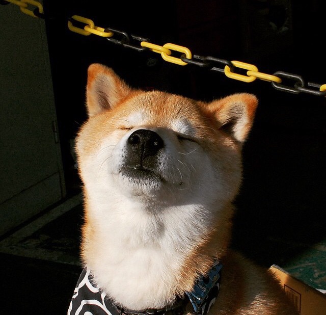 “速度与力量的完美融合，高新区全民健身馆壁球赛场上演极速反应”