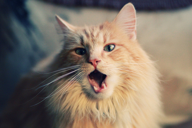 开云体育app注册-五大联赛是否正在减少中场横传次数增加纵向渗透，五大联赛要踢到什么时候