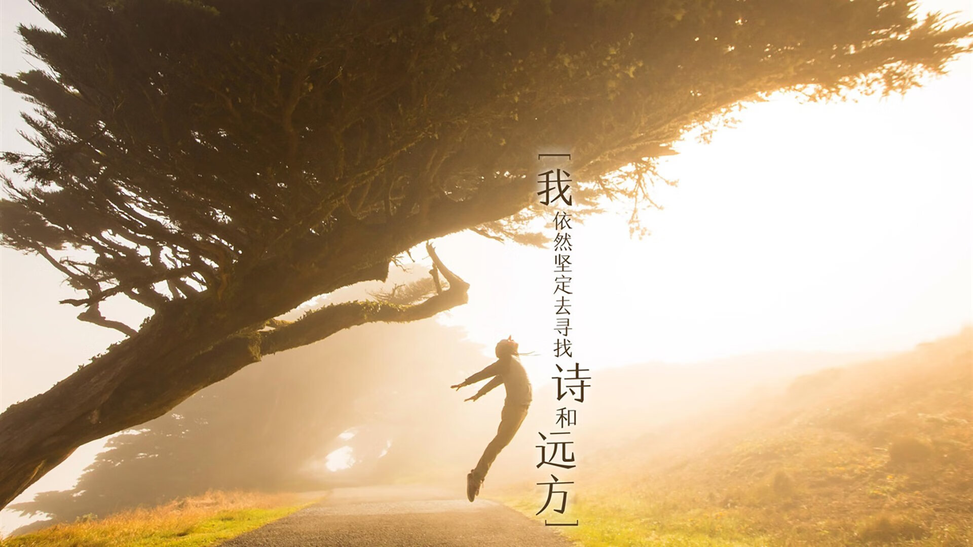 开云在线登入-体育新闻中心上线体育赛事舆情风险监测与预警系统，体育赛事风险类型及防控措施