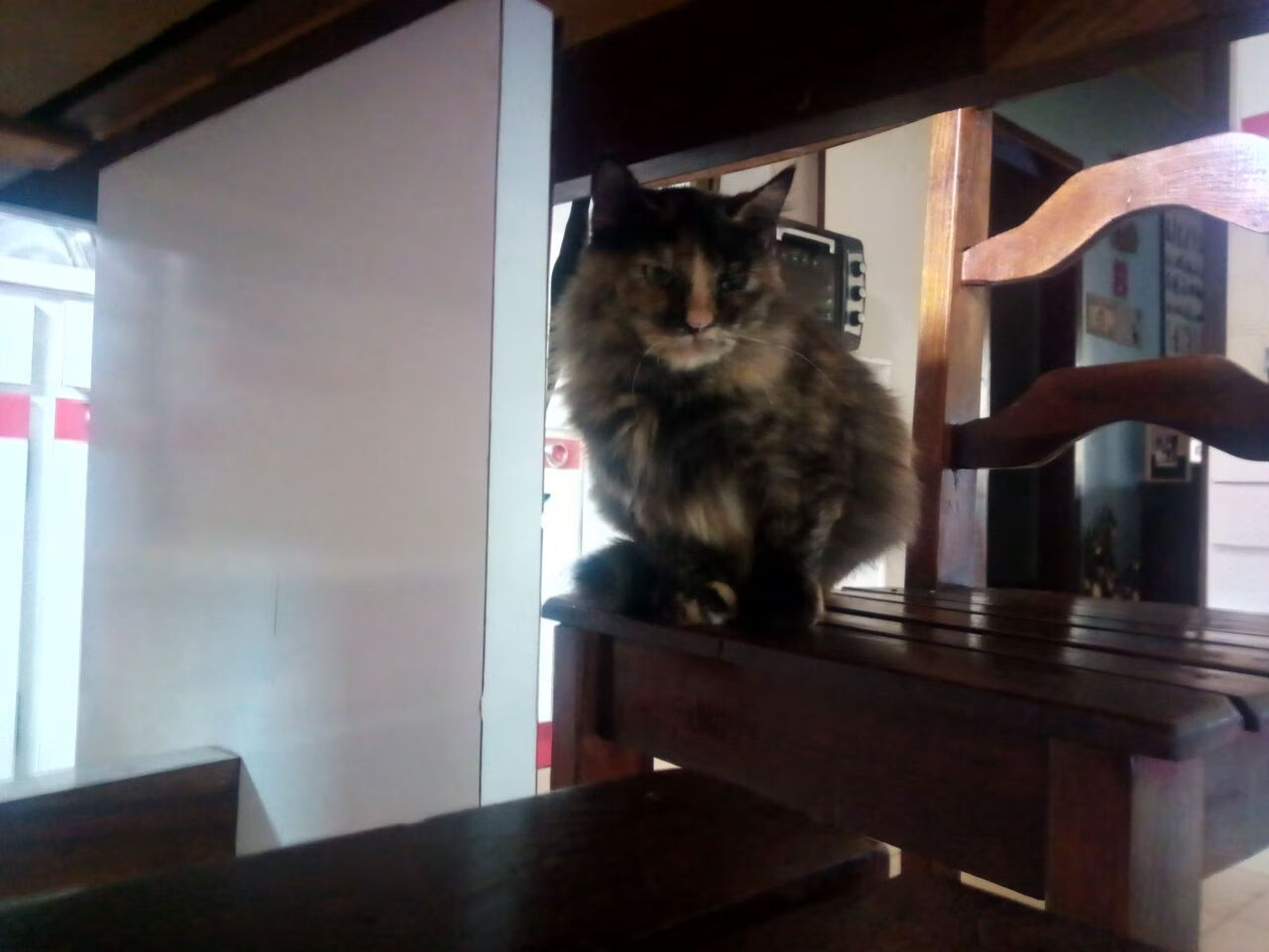 后程配速提升成胜负分水岭，后程加速怎么练