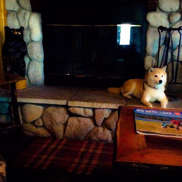 国际热身赛中国女足晋级 球迷看好未来发展,女足国足