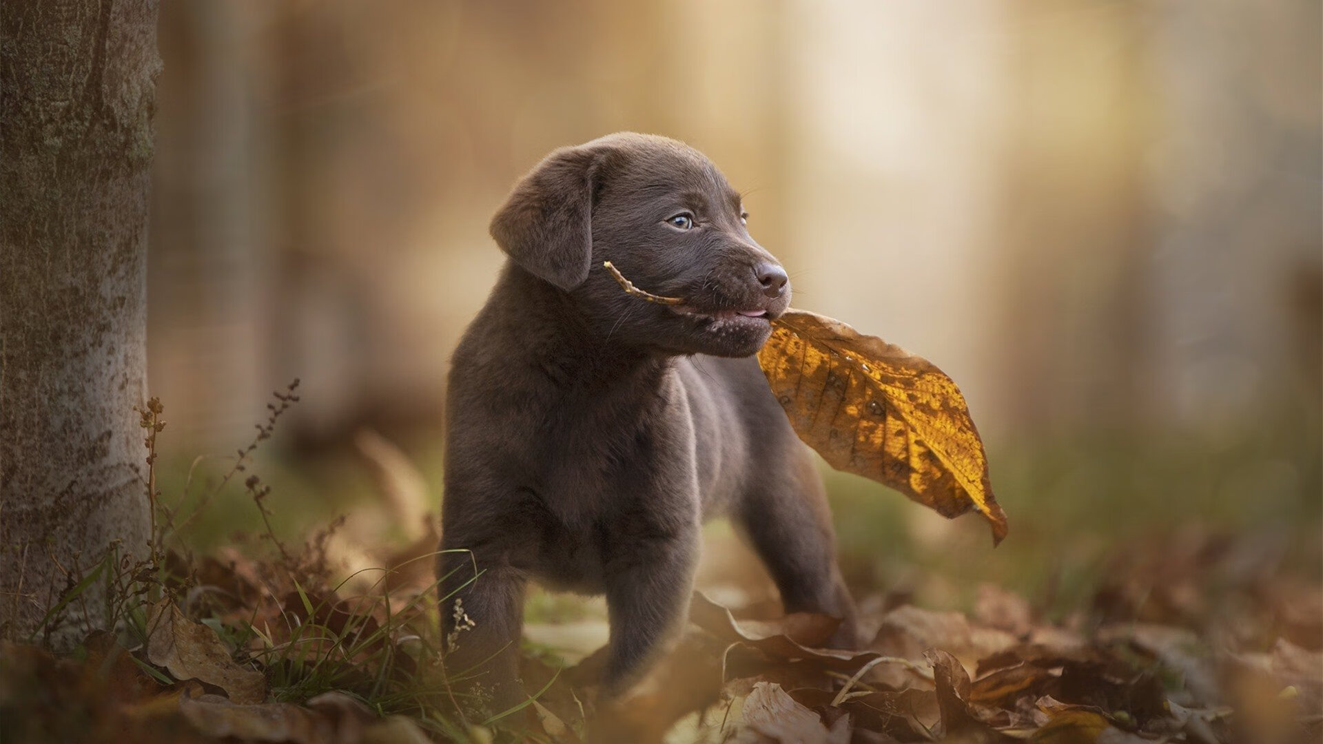 开yun官网-球队在暂停后应优先稳定节奏还是调整战术，暂停时队员必须离开比赛场区吗