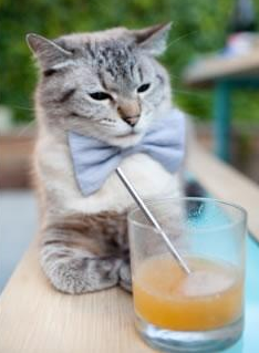 纽卡斯尔队员跑动积极提升覆盖范围，纽卡斯尔联队传奇球星