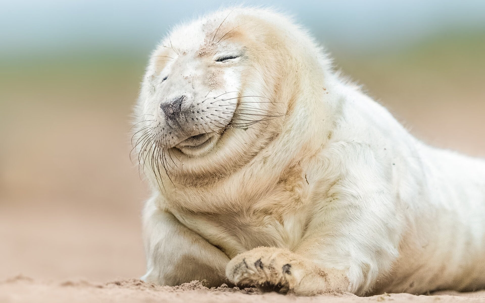 足球裁判AI辅助系统进入测试阶段，足球裁判考试测试的软件