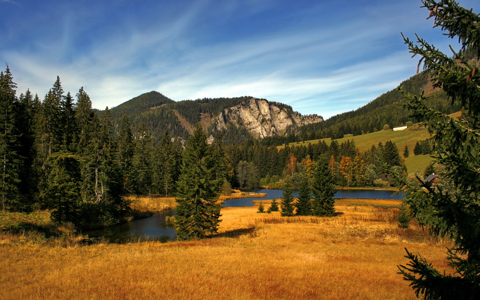 配速曲线深度剖析赛场节奏，配速指什么