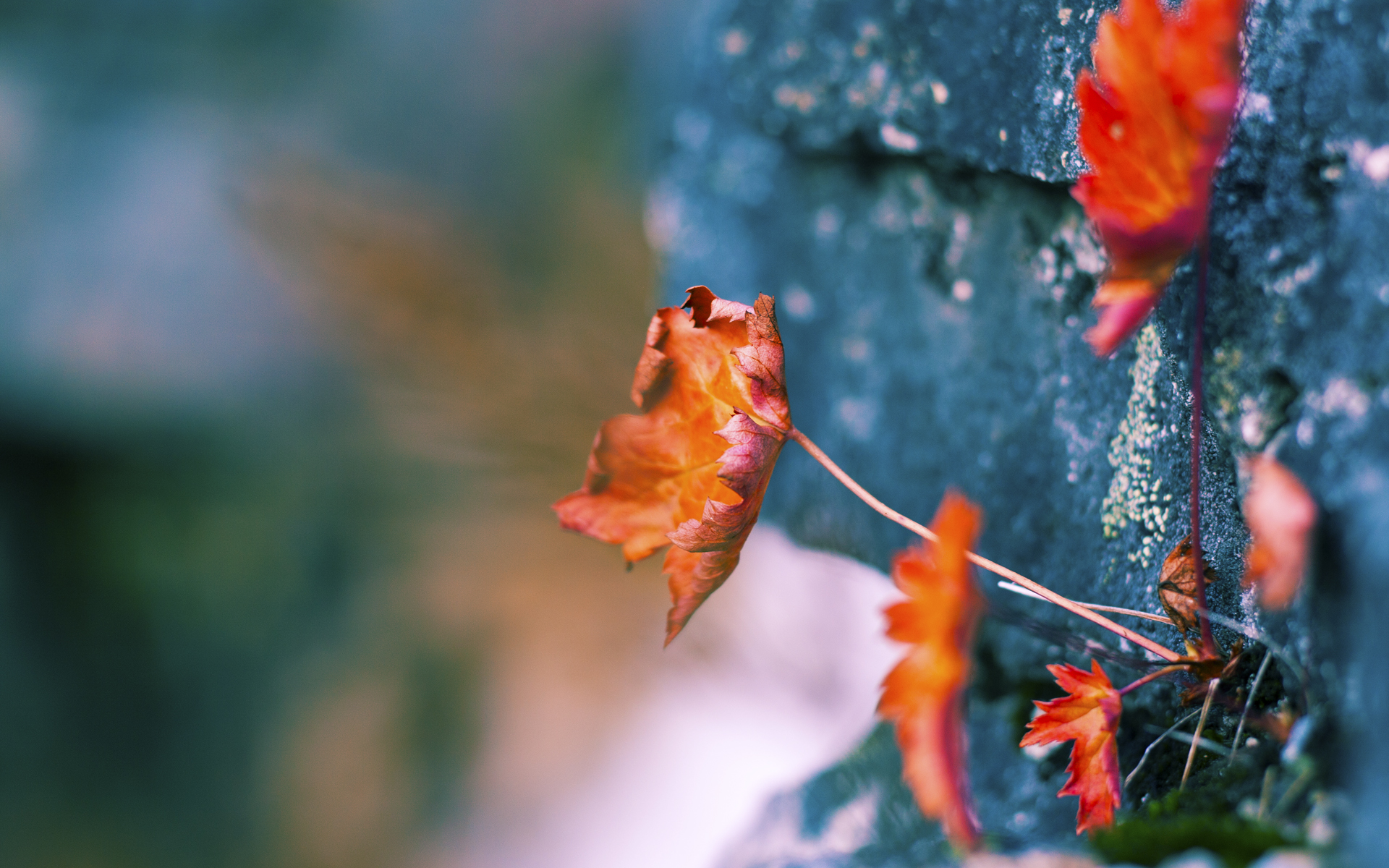 雷恩全队高压保持持续体能输出，雷恩阵型