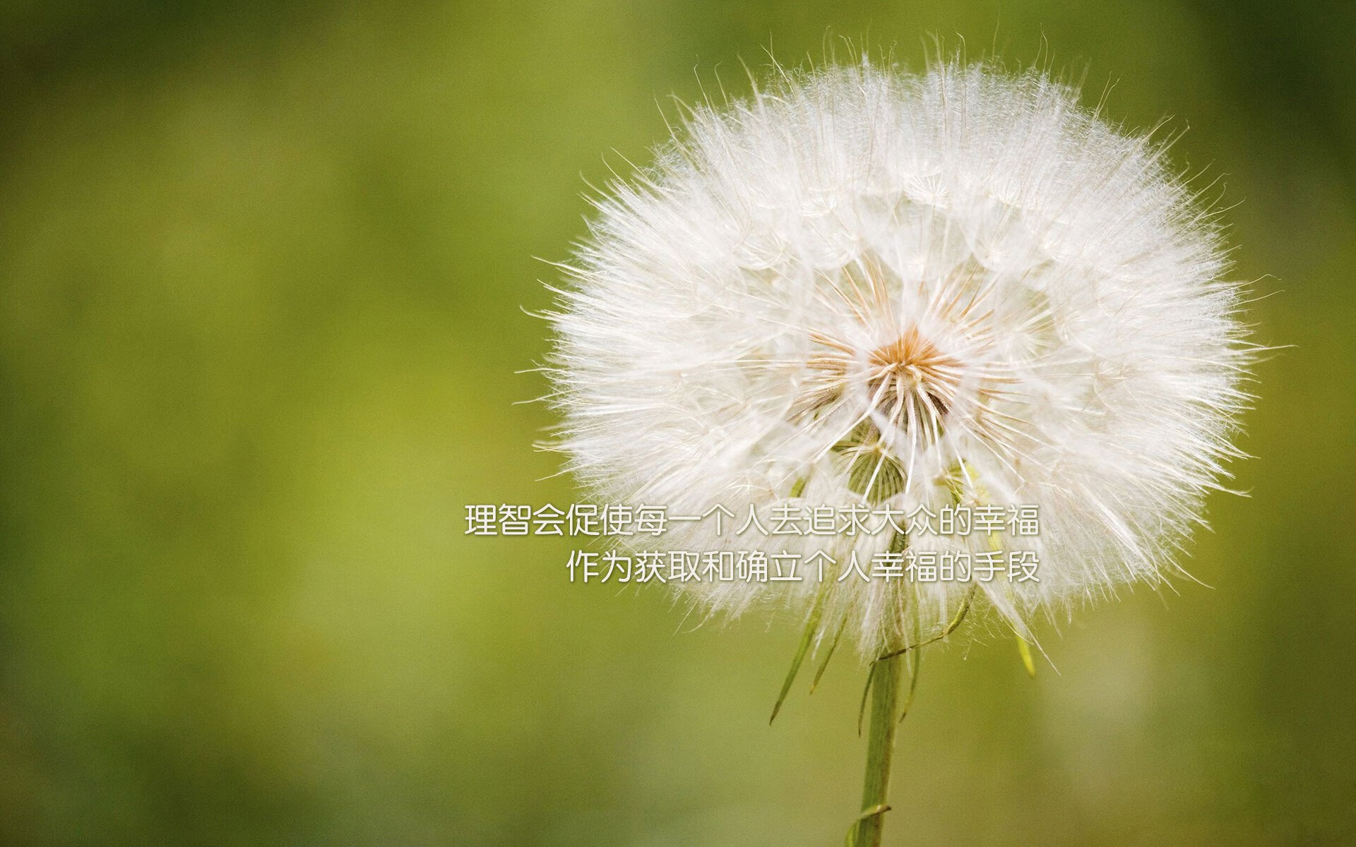 NBA季后赛火热进行 超级巨星表现抢眼，nba季后赛50大经典瞬间