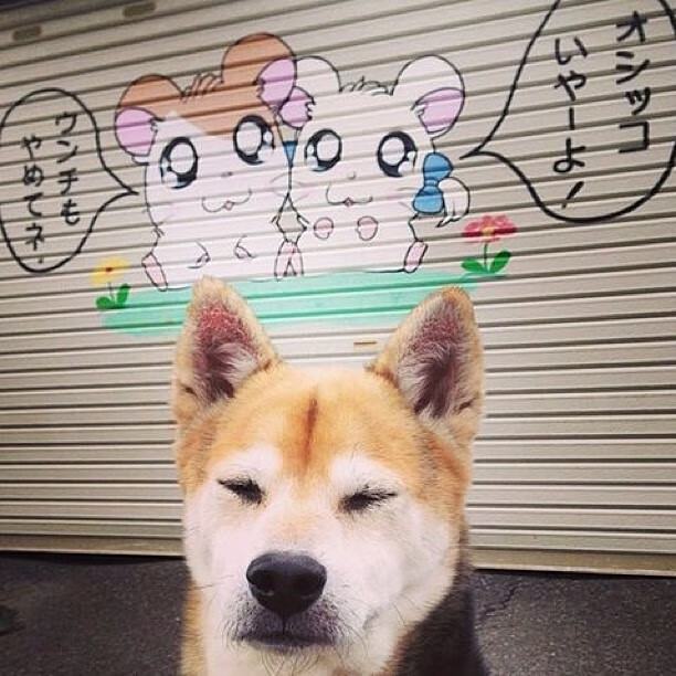 冠军联赛淘汰赛对阵形势分析，冠军联赛淘汰赛对阵形势分析报告