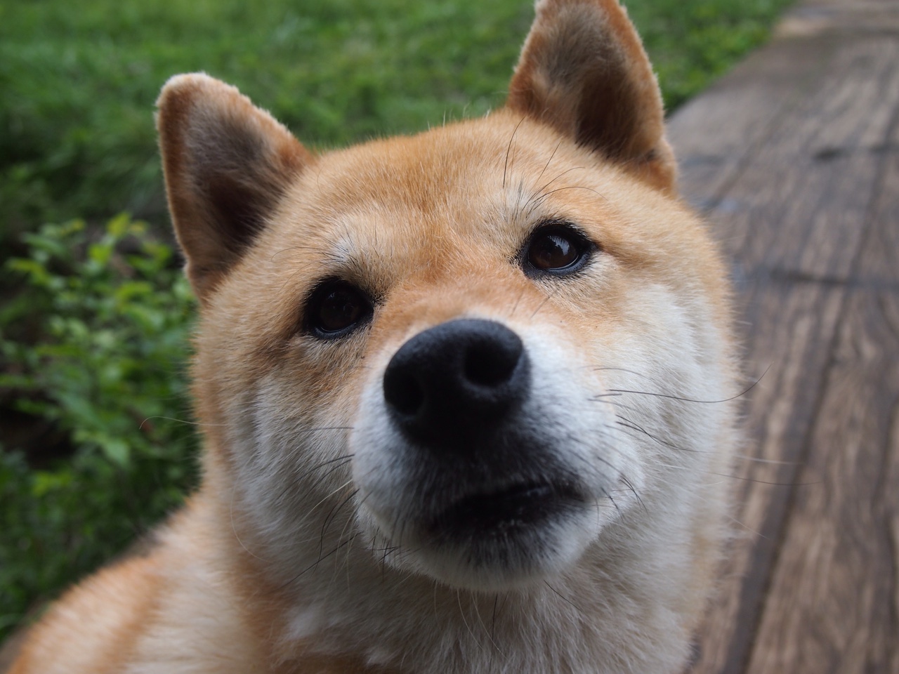 国家队试点沉浸式训练舱提升场景适应能力,什么是沉浸式训练