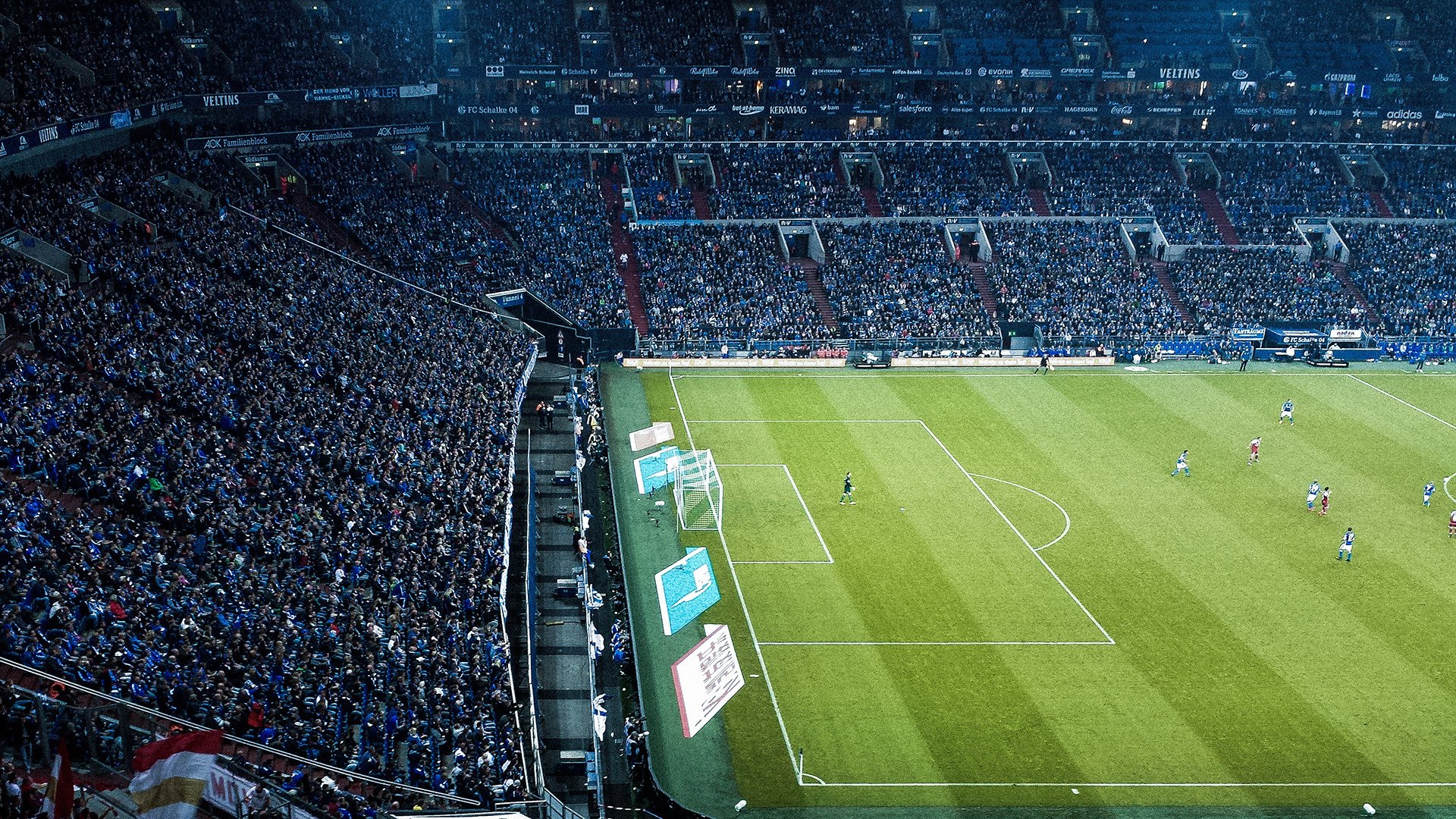 美洲杯星光璀璨:明星闪耀,全场狂欢!,美洲杯新人