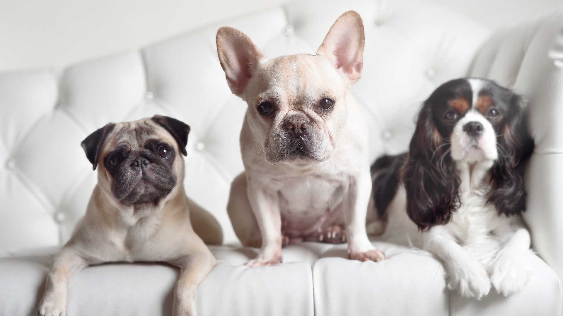 开云ky官网-美洲杯球队的攻防盛宴：不可错过的精彩片段，美洲美洲杯