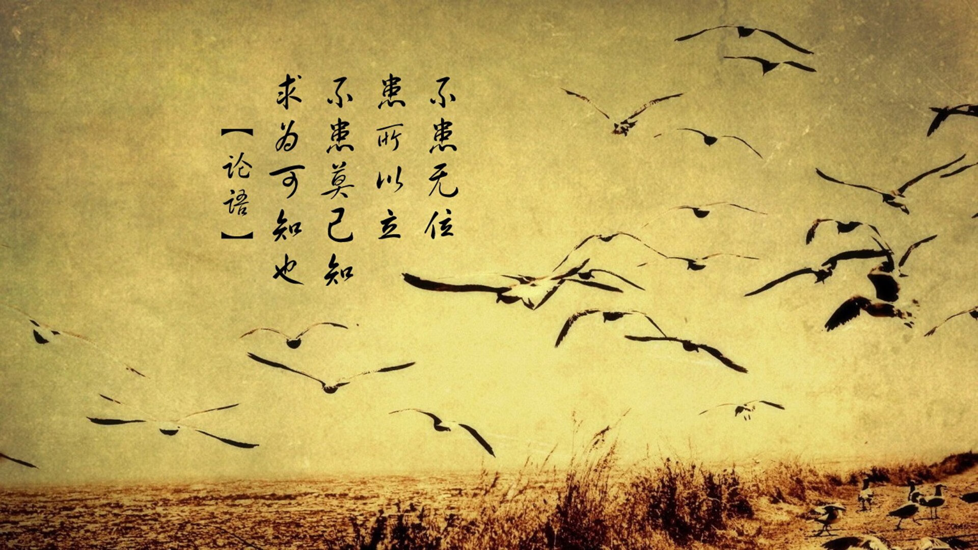 开云体育入口-自由泳预赛吉尔吉斯斯坦多人晋级，自由泳世锦赛