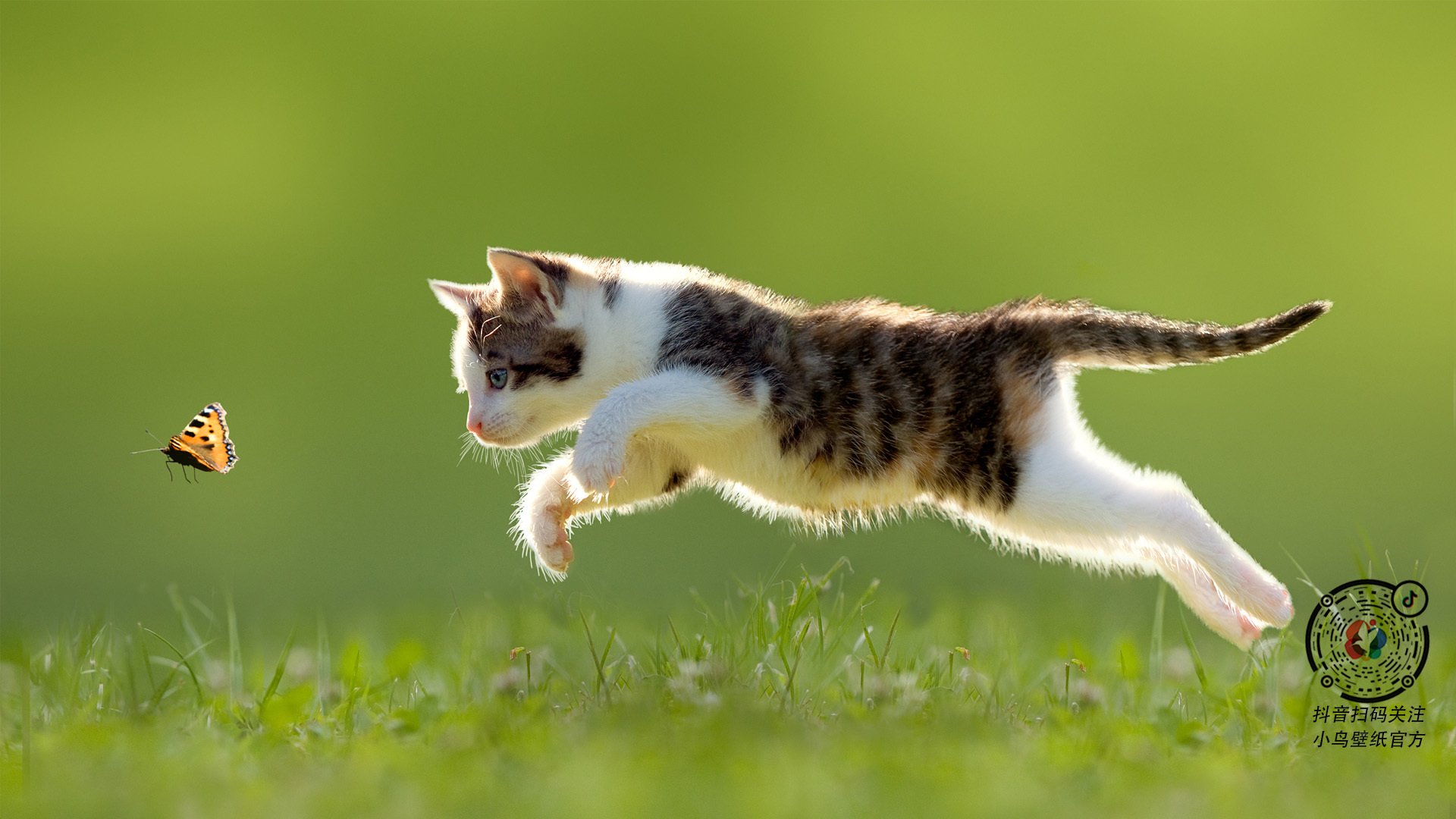 上海打造数字人民币国际化核心枢纽,上海 数字人民币 试点